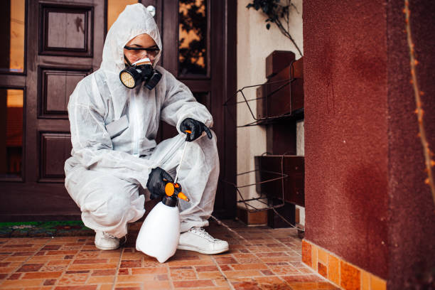Attic and Crawl Space Rodent Treatment in Kerman